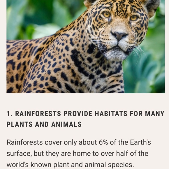 #4 LIKE LISTING #5 Comments Full - Picture 5 of 16